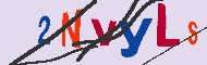 キャプチャ(CAPTCHA)認証コード