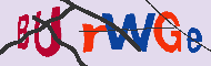 キャプチャ(CAPTCHA)認証コード