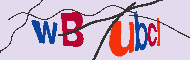 キャプチャ(CAPTCHA)認証コード