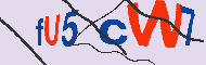 キャプチャ(CAPTCHA)認証コード